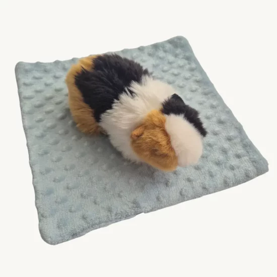 Peepad fantaisie étoilé – Image 2