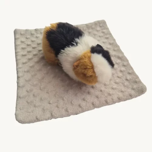 Peepad fantaisie pattes d’animaux