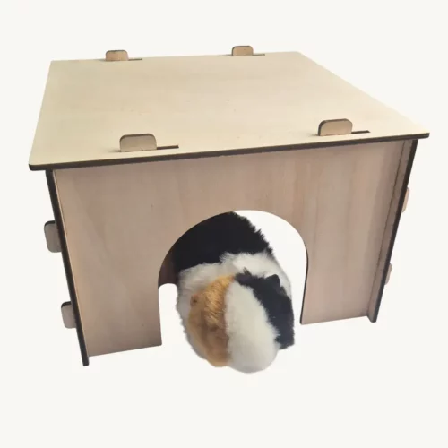 Cabane en bois