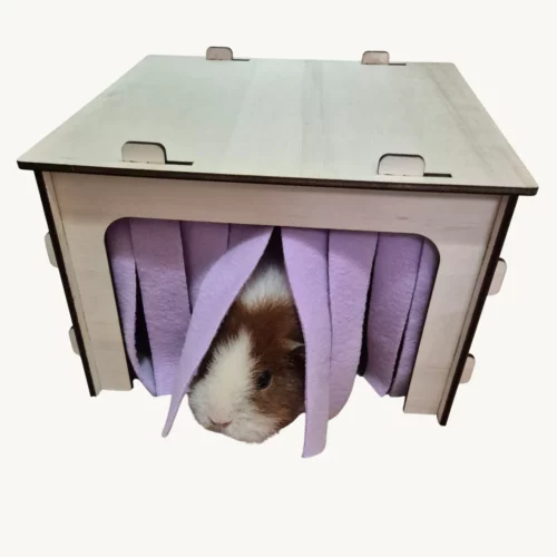 Grange en bois avec rideau violet