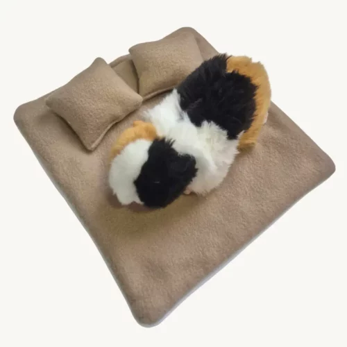 Lot 2 coussins beiges foncés