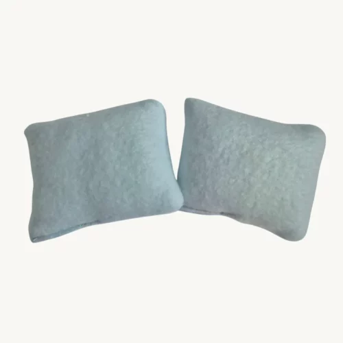 Lot 2 coussins bleus