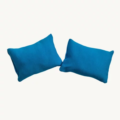 Lot 2 coussins bleus foncés
