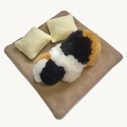 Lot 2 coussins jaunes