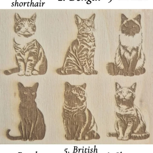 Gravure chat personnalisable
