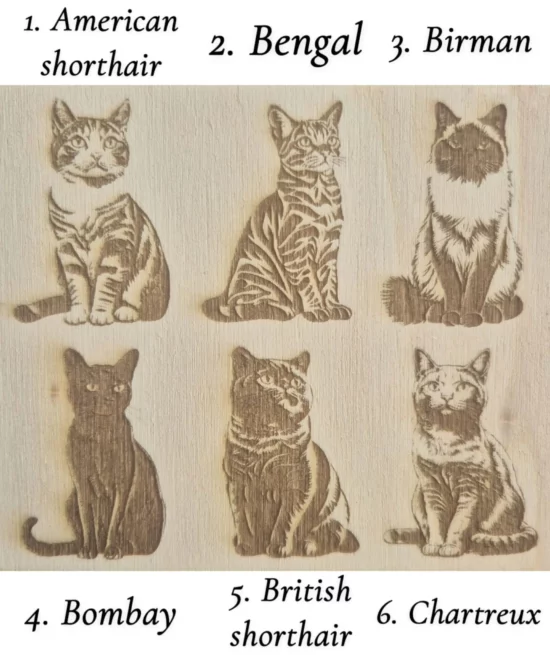 Gravure chat personnalisable – Image 2