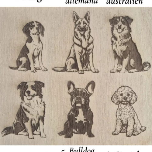 Gravure chien personnalisable