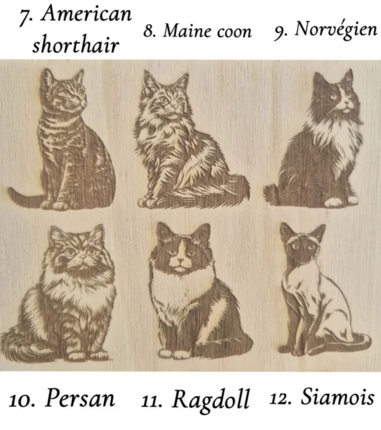 Gravure chat personnalisable – Image 3