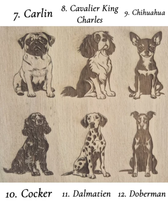Gravure chien personnalisable – Image 3