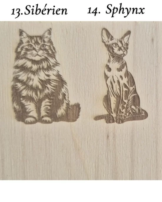 Gravure chat personnalisable – Image 4