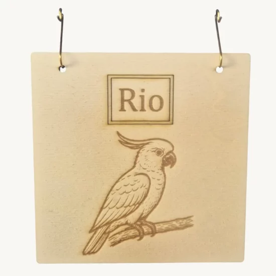 Plaque en bois personnalisable pour oiseaux, gravée avec prénom et motif, fabriquée en bois naturel issu de forêts durables.