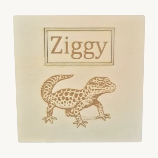 Plaque en bois personnalisable pour reptiles, gravée avec prénom et motif, fabriquée en bois naturel issu de forêts durables.
